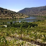 Olhares Do Douro