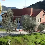 Olhares Do Douro