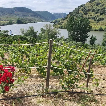 Olhares Do Douro 컨트리하우스 토레드몽코보