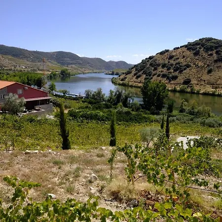 Olhares Do Douro * 토레드몽코보