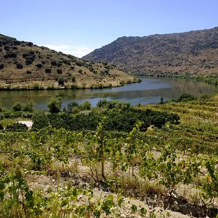 Olhares Do Douro