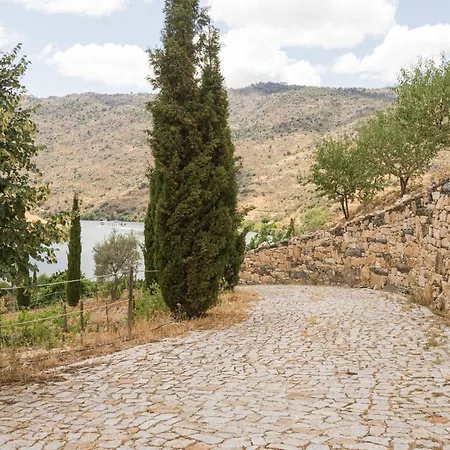 Olhares Do Douro منزل ريفي توري دي مونكورفو