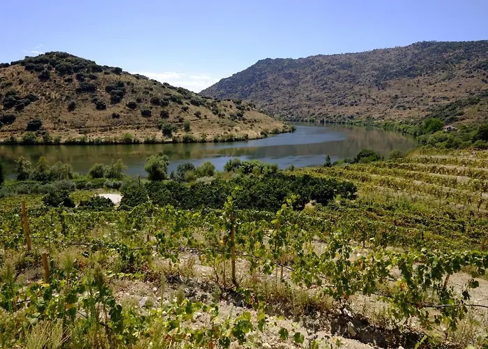 Olhares Do Douro